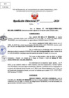 Vista preliminar de documento Resolucion Directoral N° 004355-2024