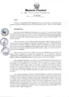 Vista preliminar de documento RESOLUCION DIRECTORAL N° 195-2024