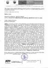 Vista preliminar de documento Modificacion Parcial de Estatuto N°11-2024