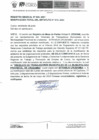 Vista preliminar de documento Modificacion Parcial de Estatuto N°13-2024