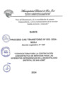 Vista preliminar de documento BASES CONVOCATORIA CAS TRANSITORIO N° 002-2024-MDSJ