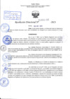 Vista preliminar de documento R.D 01900-2023