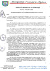 Vista preliminar de documento RESOLUCION GERENCIAL N° 002-2023-MPA-GM