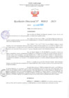 Vista preliminar de documento RD Nº000943 06-03-2023