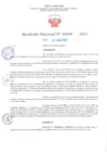 Vista preliminar de documento RD Nº000946 06-03-2023