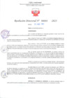 Vista preliminar de documento RD Nº000955 06-03-2023