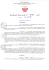 Vista preliminar de documento RD Nº000956 06-03-2023