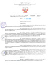 Vista preliminar de documento RD Nº000957 06-03-2023