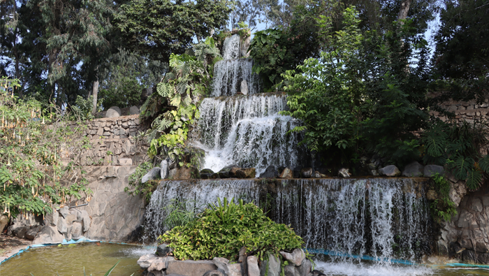 Las maravillas del Parque de las Leyendas en el mes del Perú