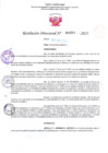 Vista preliminar de documento RD Nº000994 06-03-202307092023102002