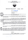 Vista preliminar de documento RD Nº000996 06-03-202307092023102100