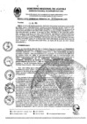 Vista preliminar de documento RGR0309-2024-GRI