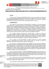 Vista preliminar de documento RDE 162-2024