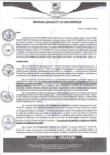 Vista preliminar de documento rgm352