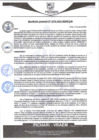 Vista preliminar de documento rgm354