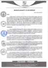 Vista preliminar de documento rgm355
