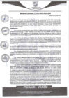 Vista preliminar de documento rgm365