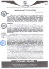 Vista preliminar de documento rgm374