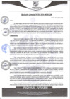 Vista preliminar de documento rgm381