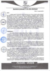 Vista preliminar de documento rgm382