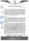 Vista preliminar de documento rgm383