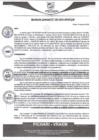 Vista preliminar de documento rgm384