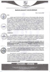 Vista preliminar de documento rgm386