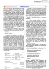 Vista preliminar de documento DS132_2024EF