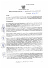 Vista preliminar de documento rd141