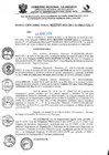 Vista preliminar de documento R-DN°344