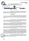Vista preliminar de documento R.D 01869-2023