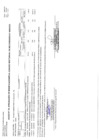 Vista preliminar de documento MODIFICACION CMN 53