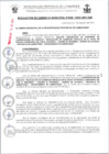 Vista preliminar de documento RG0201-2024