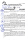 Vista preliminar de documento R.D N° 1487-2024