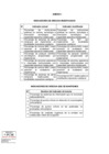 Vista preliminar de documento Anexo RM - propuesta OPMI PCM