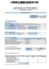 Vista preliminar de documento PRIMER BALANCE SEMESTRAL