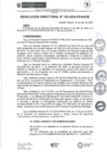 Vista preliminar de documento rd163-2024
