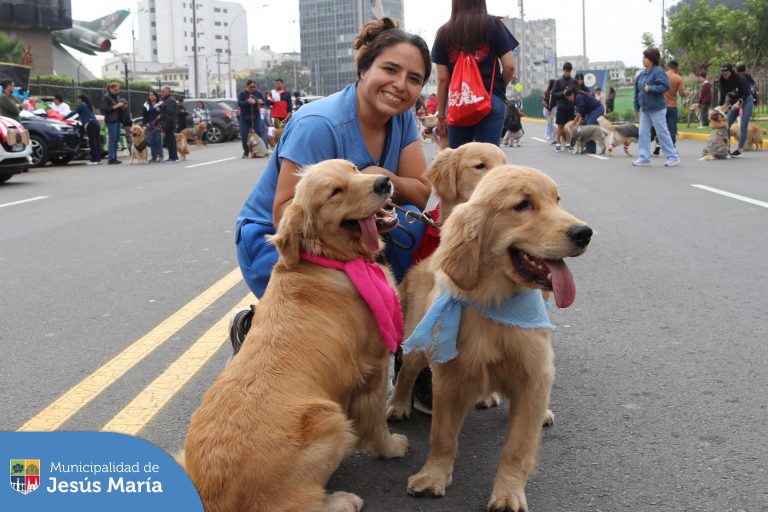 Revive los mejores momentos de este divertido domingo familiar, donde nuestros vecinos gozaron de un Master Class de Zumba y Latination, un majestuoso y tierno desfile canino y un concierto sinfónico escolar.
¡Mira aquí las imágenes!