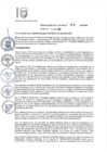 Vista preliminar de documento R.A N° 195-2024-A -REPRESENTANTES SOCIEDAD CIVIL