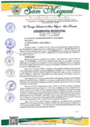 Vista preliminar de documento OM 03-2024-MDSM
