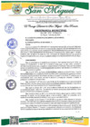 Vista preliminar de documento OM 04-2024-MDSM