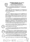 Vista preliminar de documento RGR0310-2024-GRI