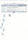 Vista preliminar de documento Anexo N° 092-2016-DV-PE