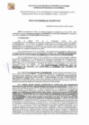 Vista preliminar de documento RGDE-241-24