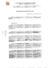Vista preliminar de documento RGDE-233-24