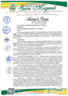 Vista preliminar de documento AC-010-2024-MDSM
