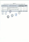 Vista preliminar de documento Anexo N° 095-2016-DV-PE