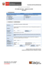 Vista preliminar de documento 6.° GORE E - MIDIS 2