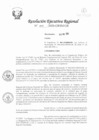 Vista preliminar de documento RER-002-2020-GRSM-GR