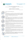 Vista preliminar de documento Nº 041